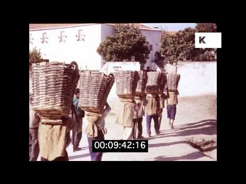1960s Northern Portugal, Village Picking Grapes in HD | Kinolibrary