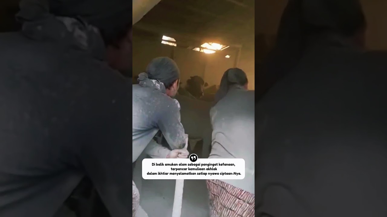 MASYA ALLAH! Terobos Kandang Penuh Abu Demi Selamatkan Ternaknya, Aksi Pria Ini Bikin Salut!