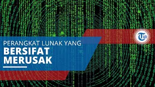 Malware, Perangkat Lunak yang Diciptakan untuk Menyusup atau Merusak Sistem Komputer, atau Server