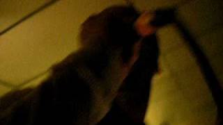 A llama eats a giraffe and vice versa - Showbread LIVE