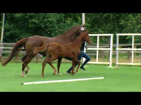 Kramer, Vivaldi-Fürst Romancier-Rubinstein I