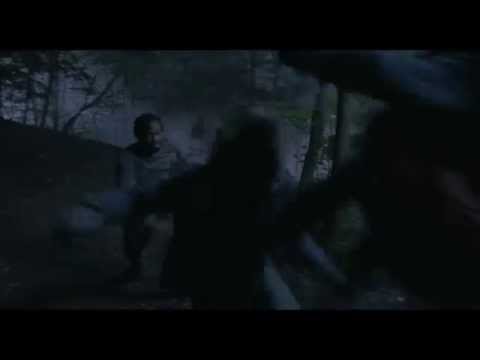 Wolves (Clip 'Fight in the Woods')