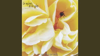 the Way of the Serpent