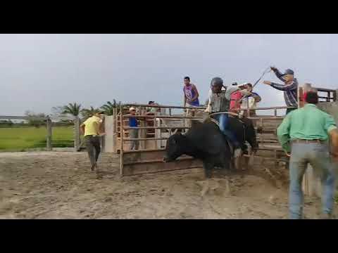 Rafael Costa vs Chorão