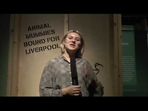 News Piece Megan Grabowski