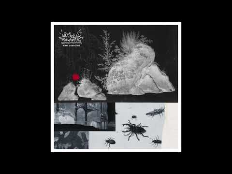 Spectacular Diagnostics - Raw Unknown (Album)