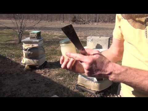 Beekeeping : Feeding Bees In The Spring