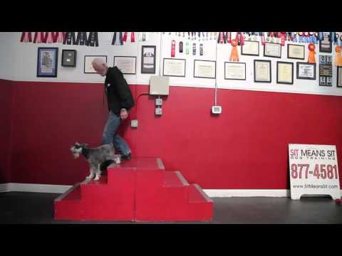 Heel Up and Down The Stairs