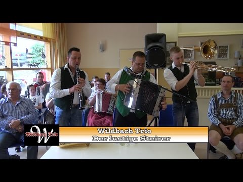 Lustiger Steirer - Wildbach Trio