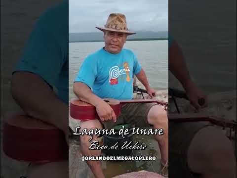 Patroneando y cantando en mi Laguna de Unare #uchire #venezuela #anzoategui #short #uchireño
