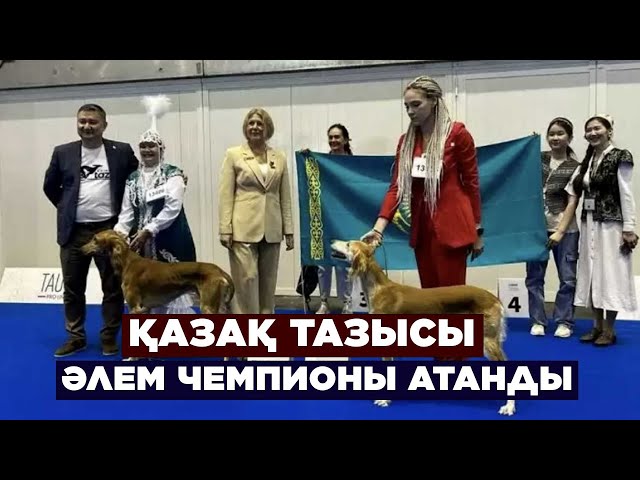 ЖАҢАЛЫҚТАР. 28.08.2023 күнгі шығарылым