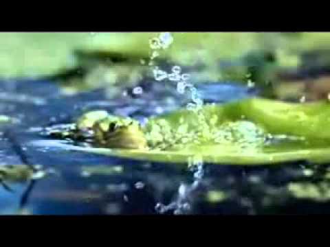 Despre Acceptare! Dezvoltare Personala 