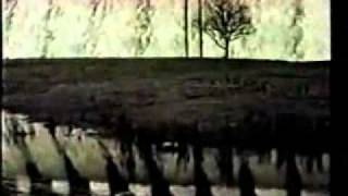Raintree Crow - Blackwater