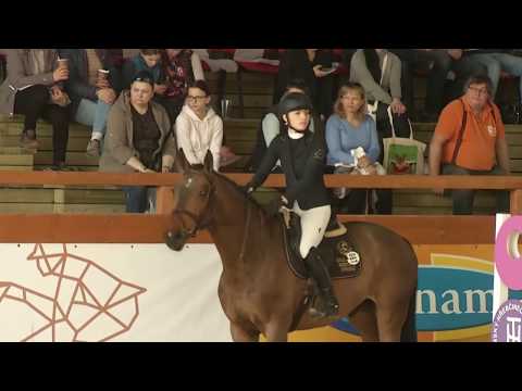 soutěž č. 6: skoková soutěž L* - Jezdecký festival 2019