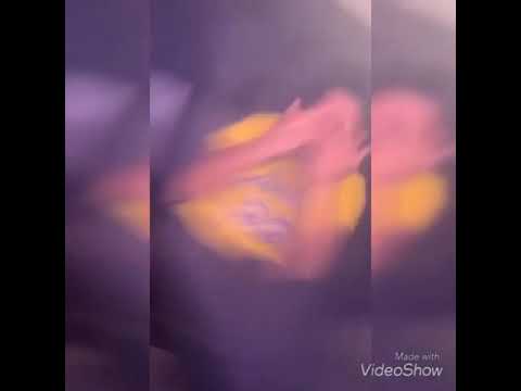 @ankhalmc vs @2c.pr - Round Final #DraftFMS2019 (torneo)