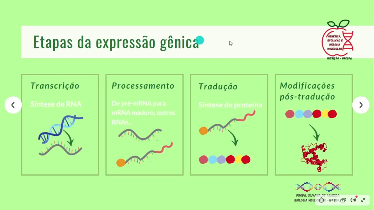 Aula Introdução de Expressão Gênica