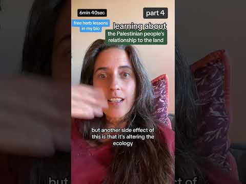 part 4: Where Nature Ends and Settlements Begin by Jumana Manna 