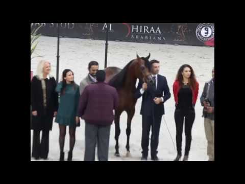 World Champion Junior Male - 2016 - Gallardo J