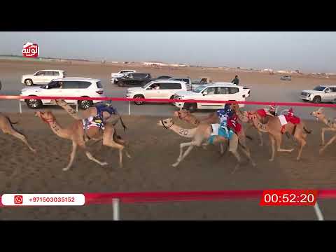  ش 8 (شاهين) لـ سعيد صالح بن خريده المنصوري 2:18 , شارة الصندوق 2026/03/14 فطامين الوثبة