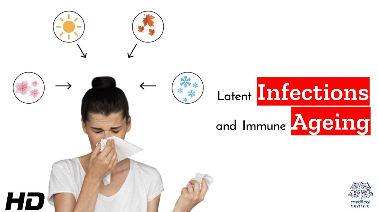 The Link Between Persistent Infections and Ageing