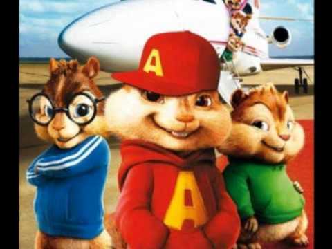 Sgrilla By Chumpkins