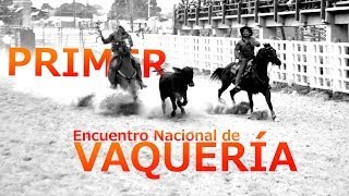 preview picture of video '#100 Primer Encuentro Nacional De Vaqueria en Tauramena-Casanare 2014'