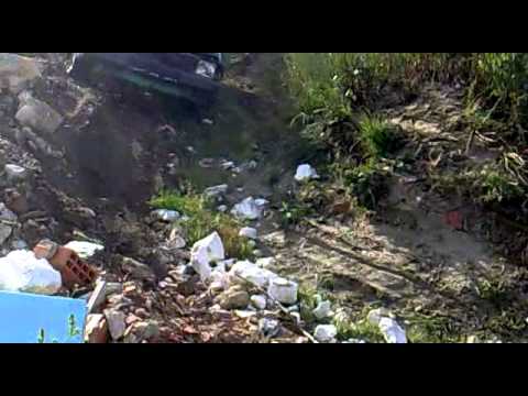 o Faísca em testes: o regresso da lenda dos pinhais :D