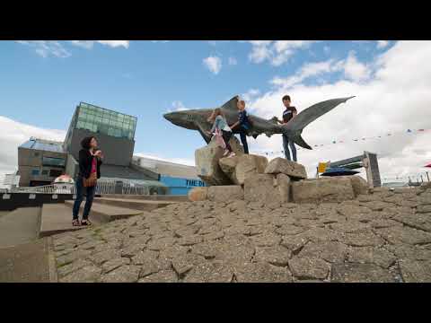 Hull – EY