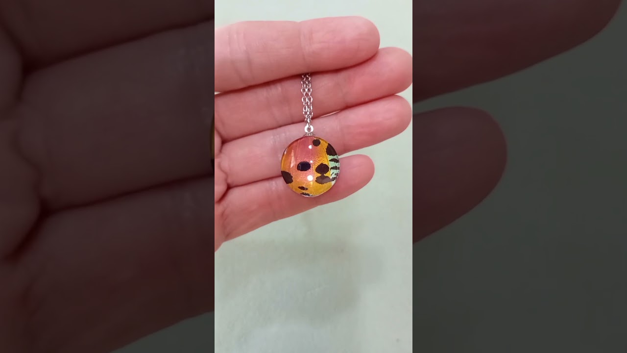 Collana da 20mm con vera ala di falena Urania ripheus sotto lente in vetro che mostra vividi colori iridescenti dell’arcobaleno