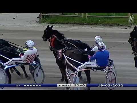 Aversa trotto 19 Marzo 2022 - 2° Corsa