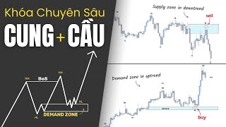 Khóa Học Toàn Tập Về Cung Cầu: Lộ Trình Từ Người Mới Đến Pro