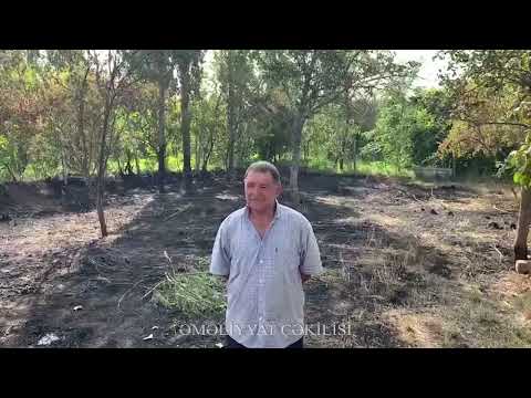 FHN-in Dövlət Yanğın Nəzarəti Xidməti daha bir qəsdən yanğıntörətmə faktının üstünü açıb (video, foto)