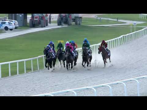 2018.09.16. 08. futam - VIVA LA DIVA HENDIKEP (IV.o.) (szintetikus pálya)