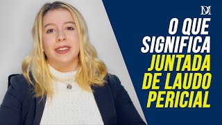 What Does Filing an Expert Report Mean? | Duarte Moral Lawyers