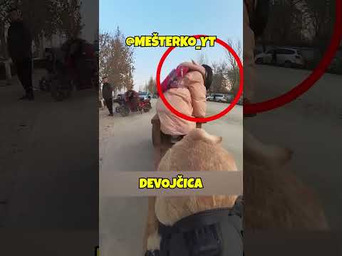 OVAJ PAS VODI DEVOJČICU DO ŠKOLE! #mesterko #recomended #viral #fyp