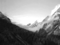 Alda-Scattered On The Wind 