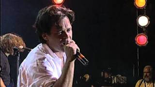 John Mellencamp - Small Town (Live at Farm Aid 1995)