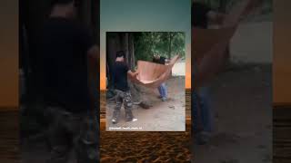 Download lagu terima kasih monyet 🗿 #fypシ #meme #kocak #lucu #shortvideos mp3