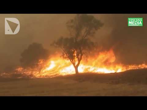 SERVIZIO - LA TOSCANA DICHIARA GUERRA AGLI INCENDI