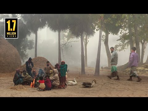 কুয়াশার চাদরে মোড়া সিরাজগঞ্জের বাকাই গ্রাম (২০২৩) || @PanoramaDocumentary
