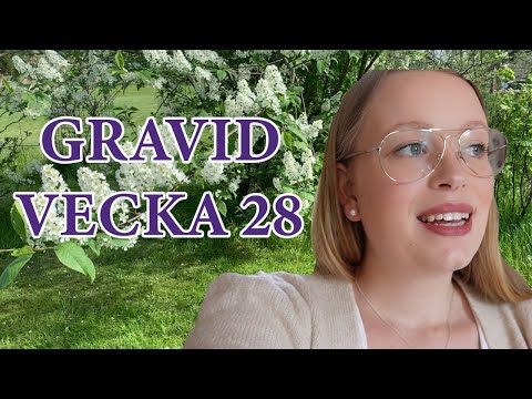 GRAVID VECKA 28 - STORHANDLAR OCH FIXAR PRESENT - VLOGG