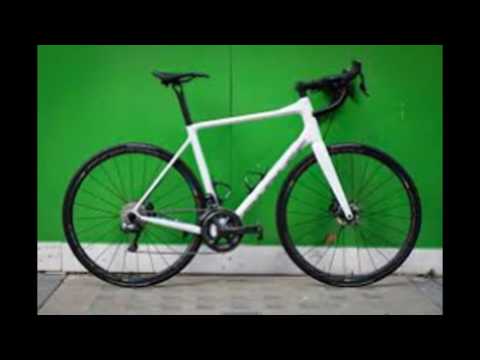 Parlee Altum Disc Pearl WHite