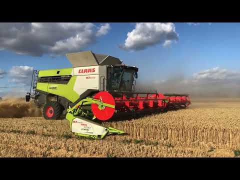 Claas Lexion 8700 combine with Convio header in weat harvest, Eastern Germany