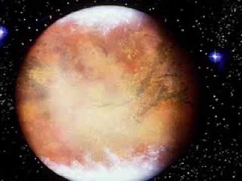 Fidelidad. Hector David