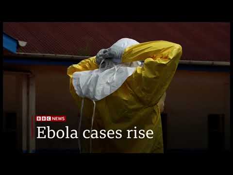 BBC One Minute World News