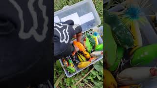 Download lagu Casting Gabus Rawa Pening Bersama Senior #casting #gabus #shorts mp3 Download lagu Casting Gabus Rawa Pening Bersama Senior #casting #gabus #shorts mp3