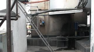 MVI 0277