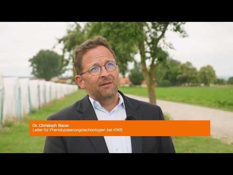 Drohnen in der Pflanzenzüchtung | World of Farming KWS