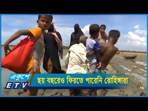 ছয় বছরেও নিজ ভূমে ফিরতে পারেনি বাস্তুচ্যুত রোহিঙ্গারা