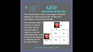 GED QOD: Heredity and Punnett Squares 5